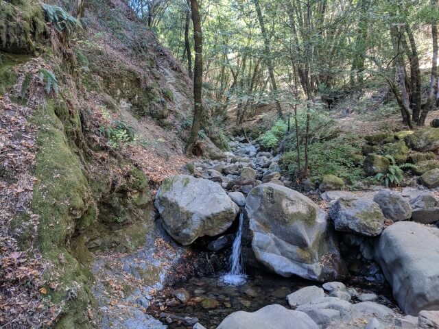 Uvas Canyon County Park Campground