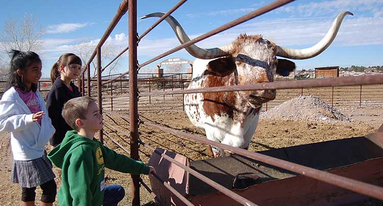 Farm and Ranch Heritage Museum