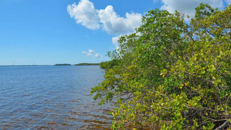 Lagoon Greenway