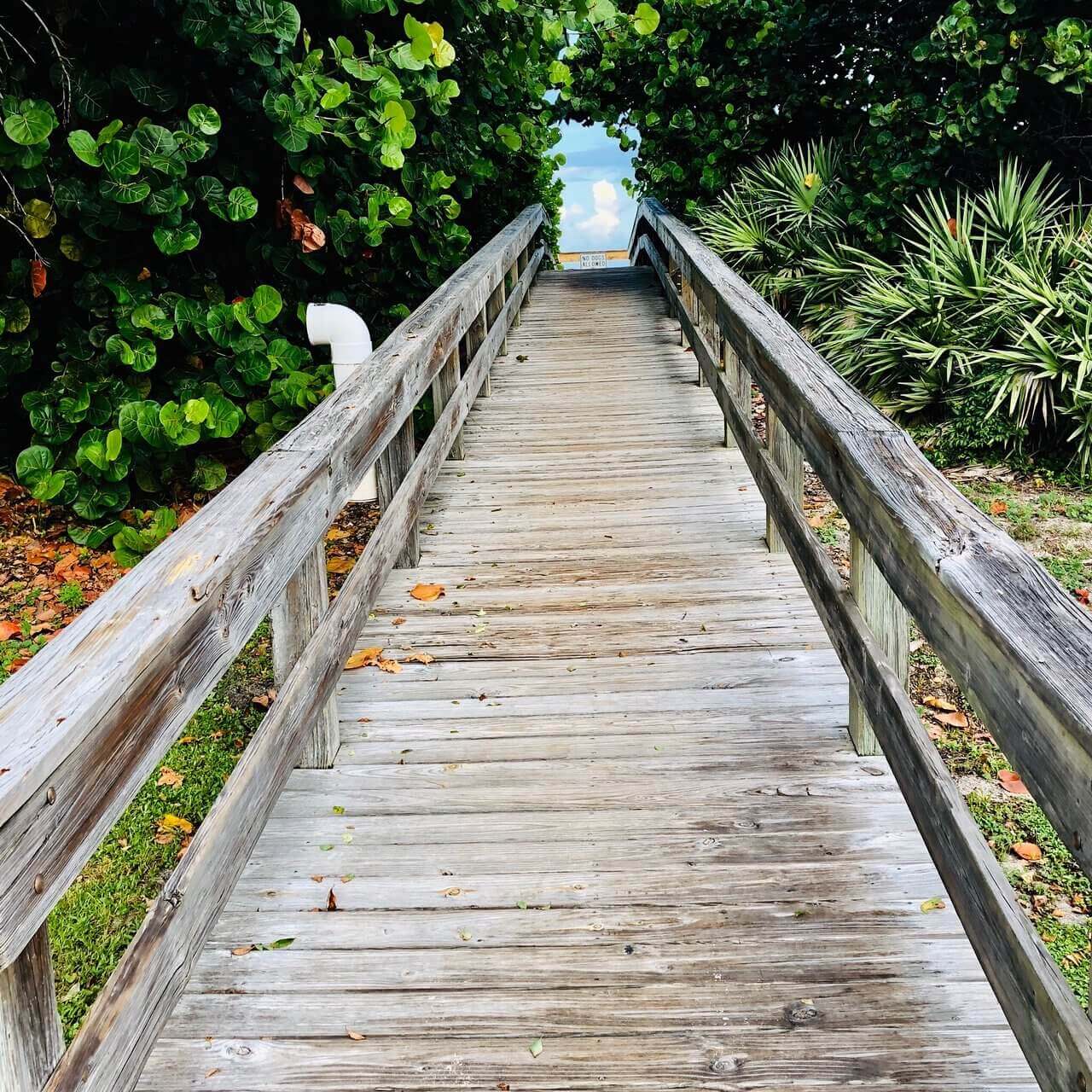 Tracking Station Beachfront Park FL