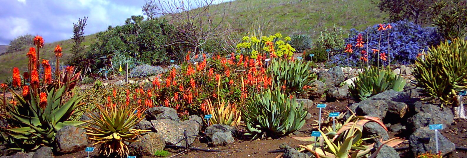 San Luis Obispo Botanical Garden