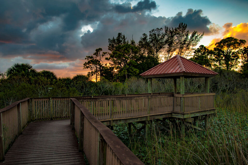 Sabal pines park coconut creek at sunset