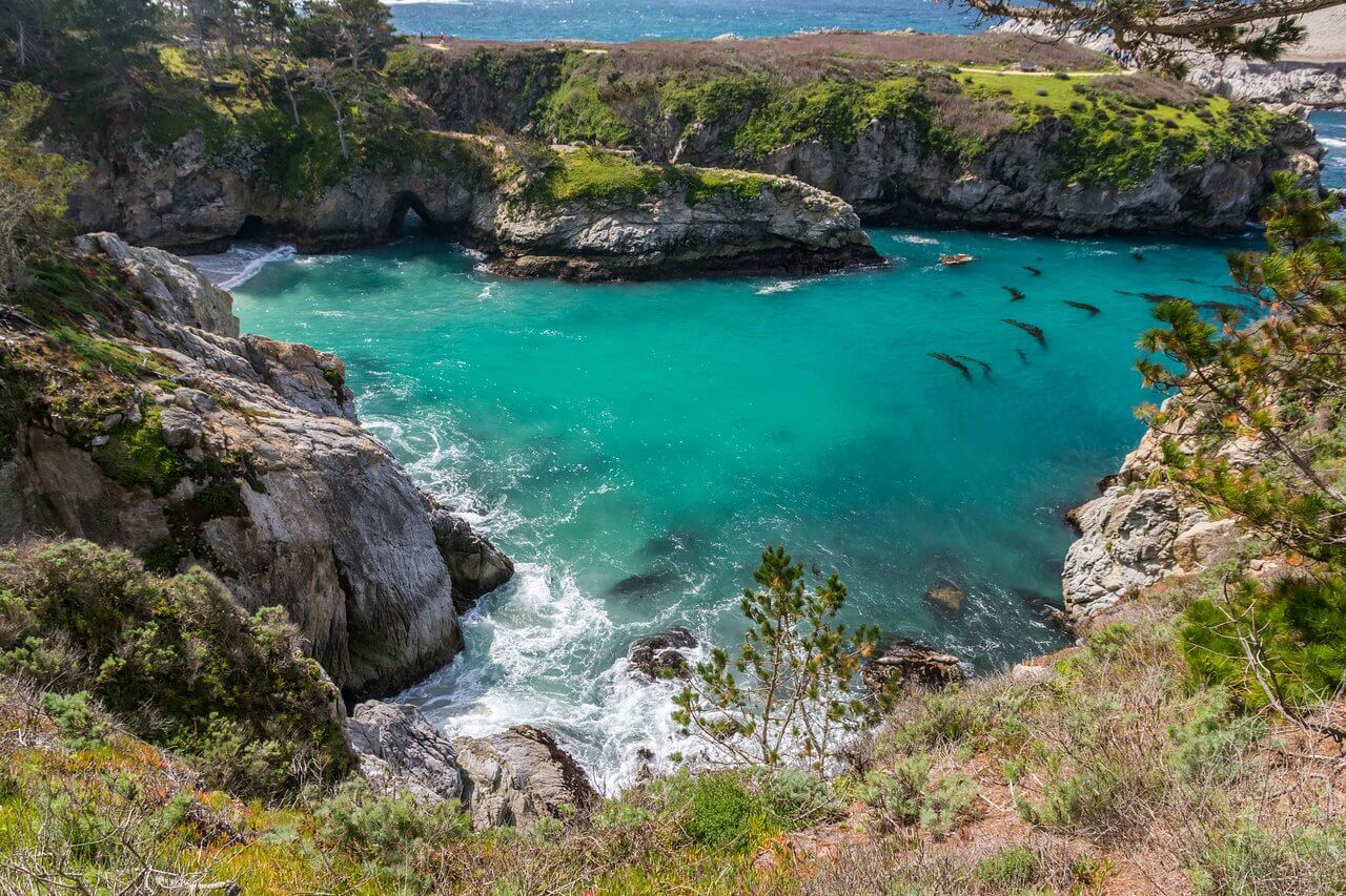  Point Lobos State Natural Reserve