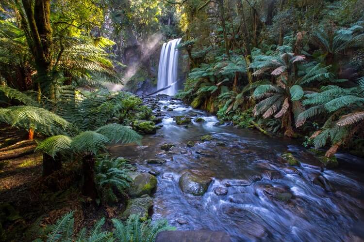 Rattlesnake Falls