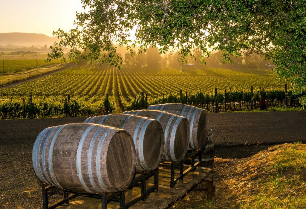 long island vineyards