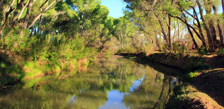 San Pedro Riparian National Conservation Area