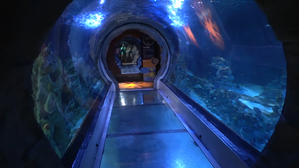 Sea Life Arizona Aquarium Tour & Review