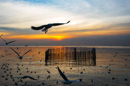 Bang Pu Nature Education Centre