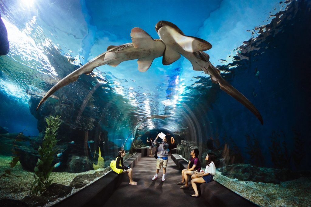 Bangkok Aquarium 