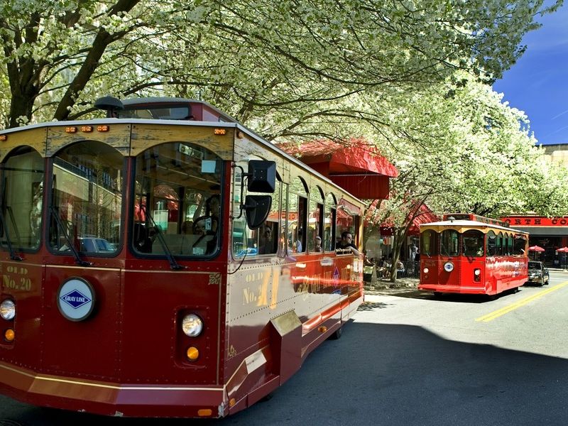  Gray Line Trolley Tours