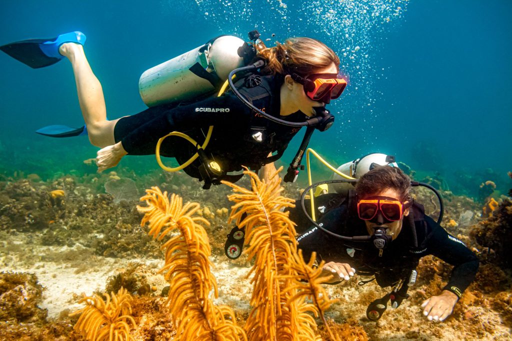 Scuba Dive in Negril 