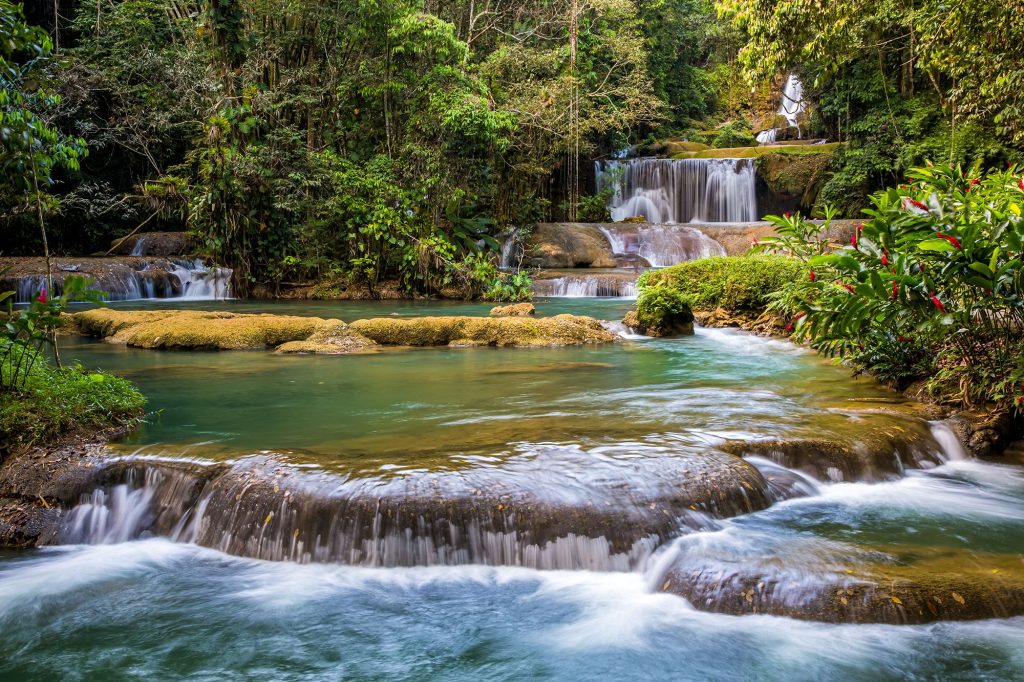 See the Mayfield Falls in the Rainforest