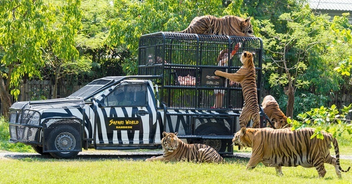 Spend a Fabulous Bangkok Day With Family at Safari World 