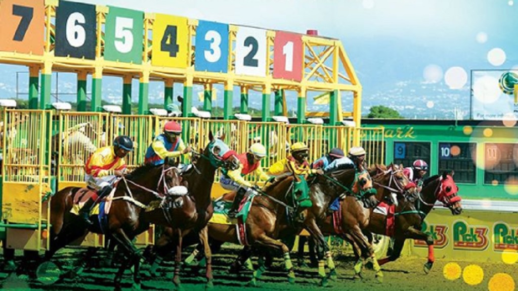 Visit Cayman'S Park Race Track - Best Things To Do In Jamaica