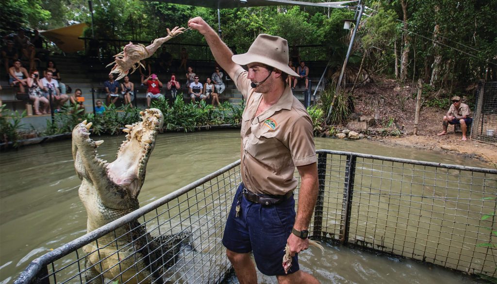 Visit a Crocodile Farm - 50 Things to do in jamaica