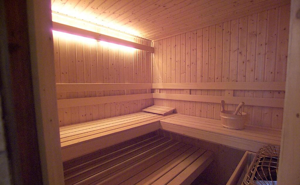 Ray's Bucktown B&B sauna