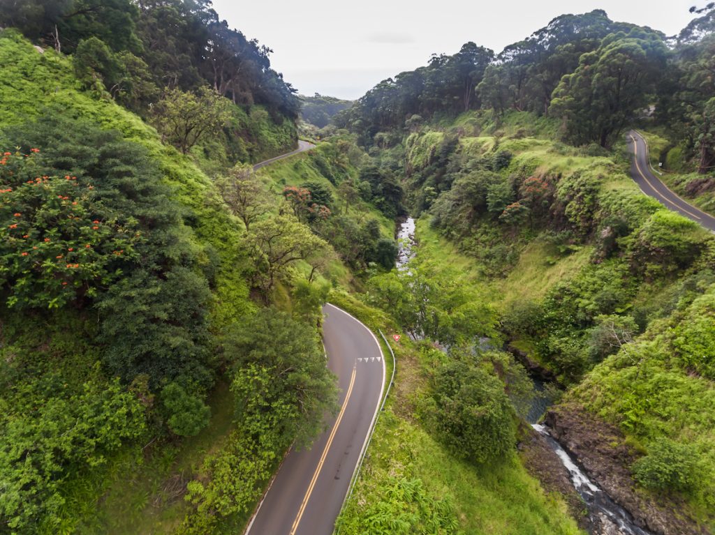 Along the Road to Hana (East Maui)