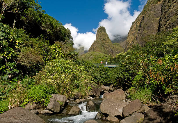 The Iao Needle rises above a stream and lush tropical vegetation on the island of Maui, Hawaii.