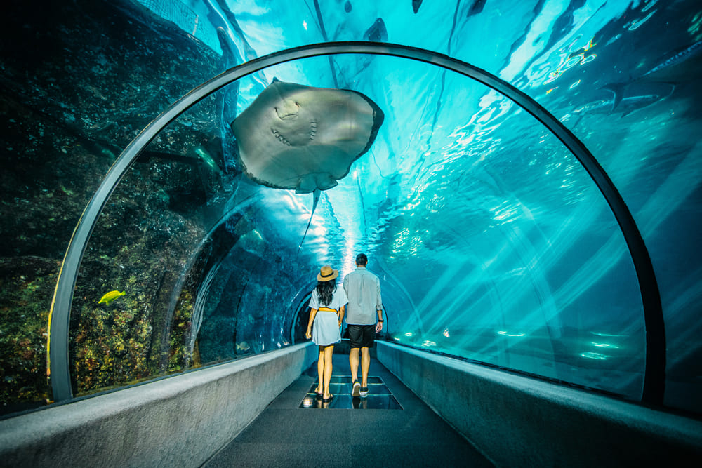 Maui Ocean Center