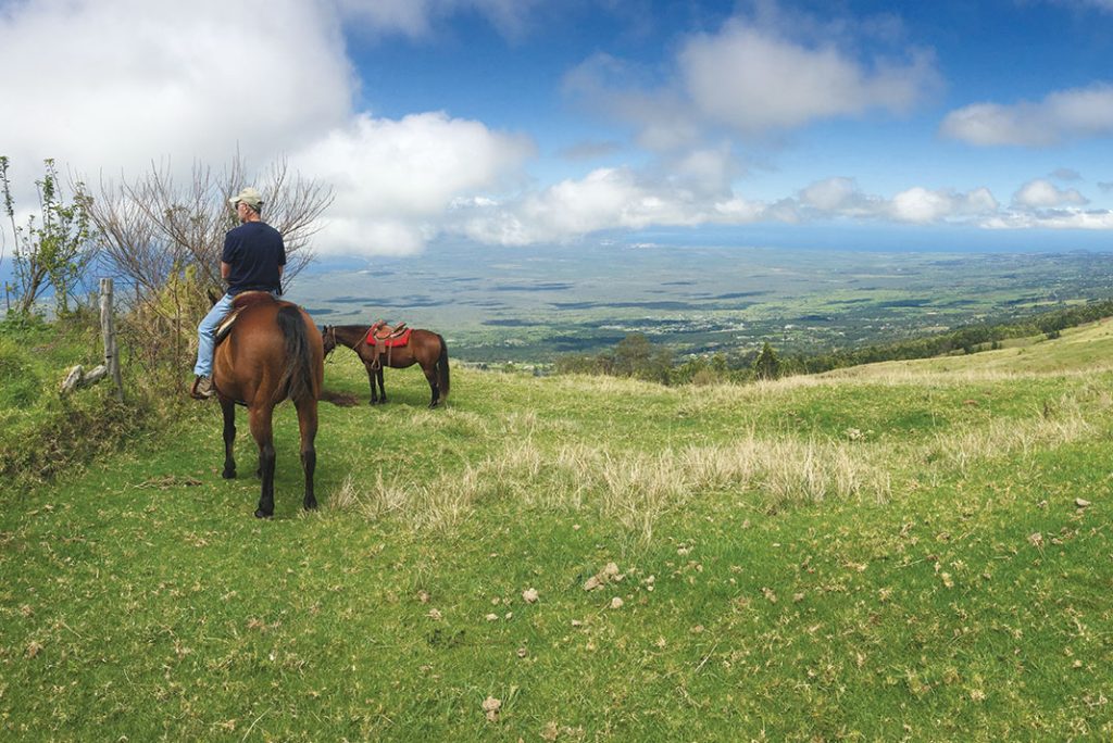 Things To Do In Maui Hawaii- Horseback Riding And The Divine Scenery Of Upcountry Maui