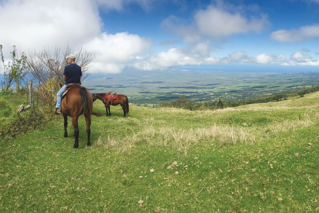 things to do in maui hawaii- Horseback riding and The divine scenery of Upcountry Maui