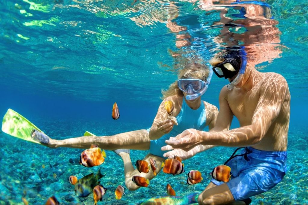 Visit Maui for Snorkeling