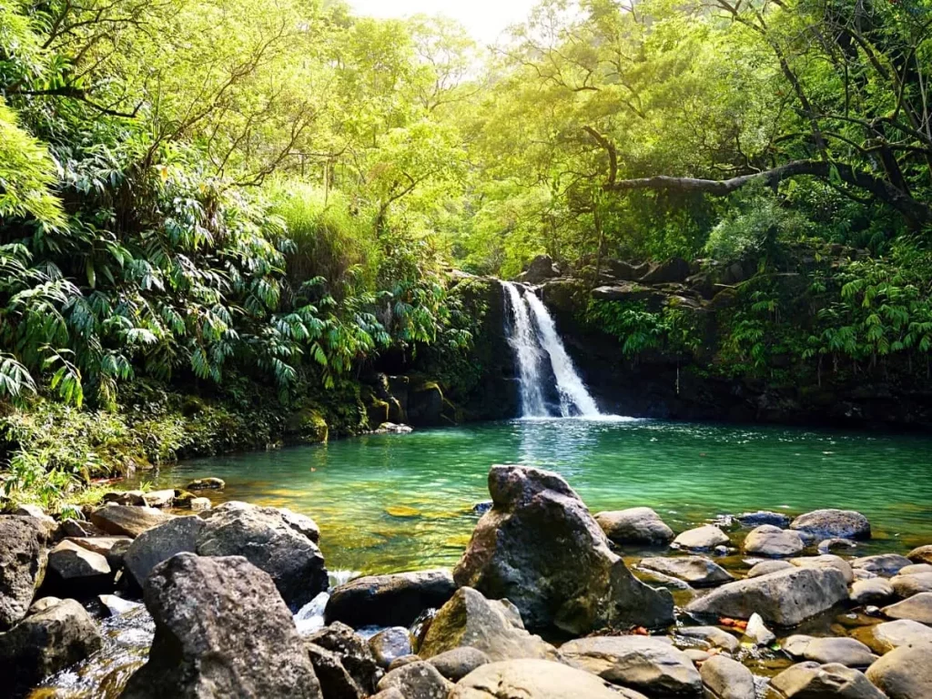 Best Time to Go to Maui for Good Weather and Blooming Nature?