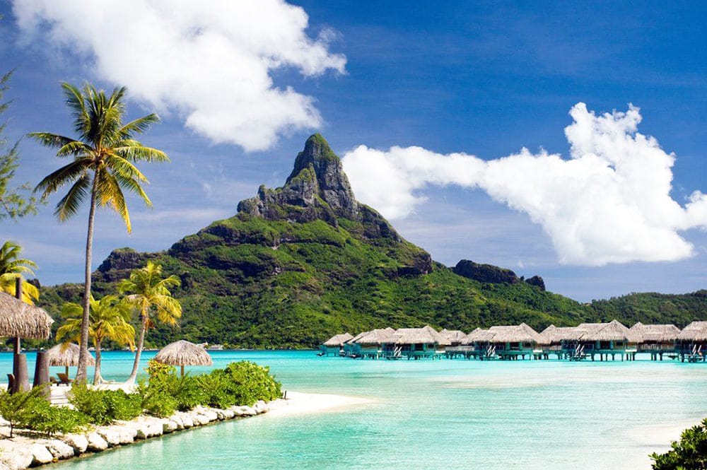 the Fauna and Flora of Bora Bora