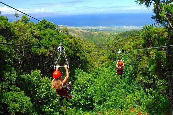 zipline adventure jungle