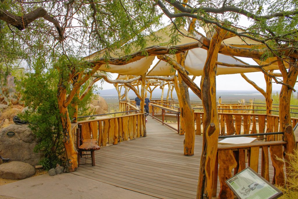 Arizona-sonora Desert Museum 