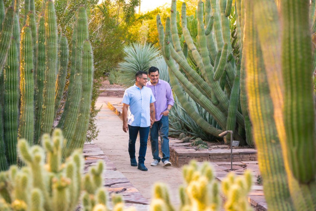 Visit the Desert Botanical Garden