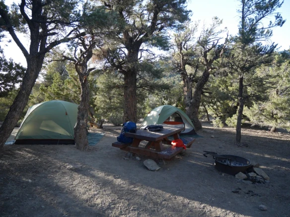 Camp Among Ancient Trees at Grandview Campground