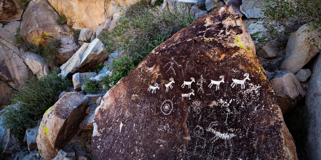 Petroglyphs at Picture Canyon
