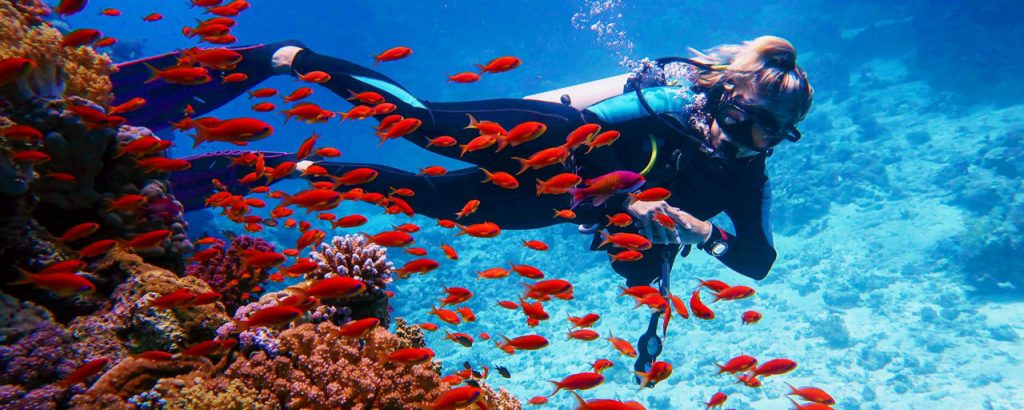 Snorkel or Dive the Similan Islands